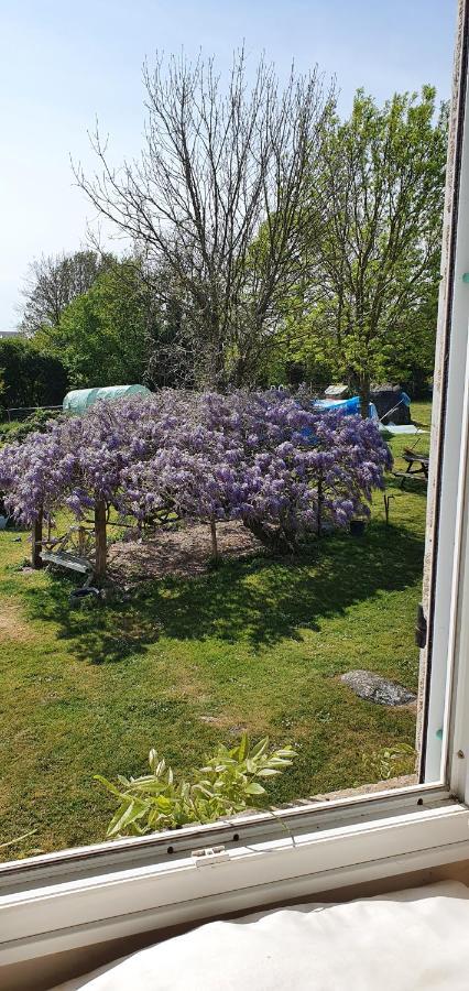 مبيت وإفطار Chanteloup  Wisteria House المظهر الخارجي الصورة