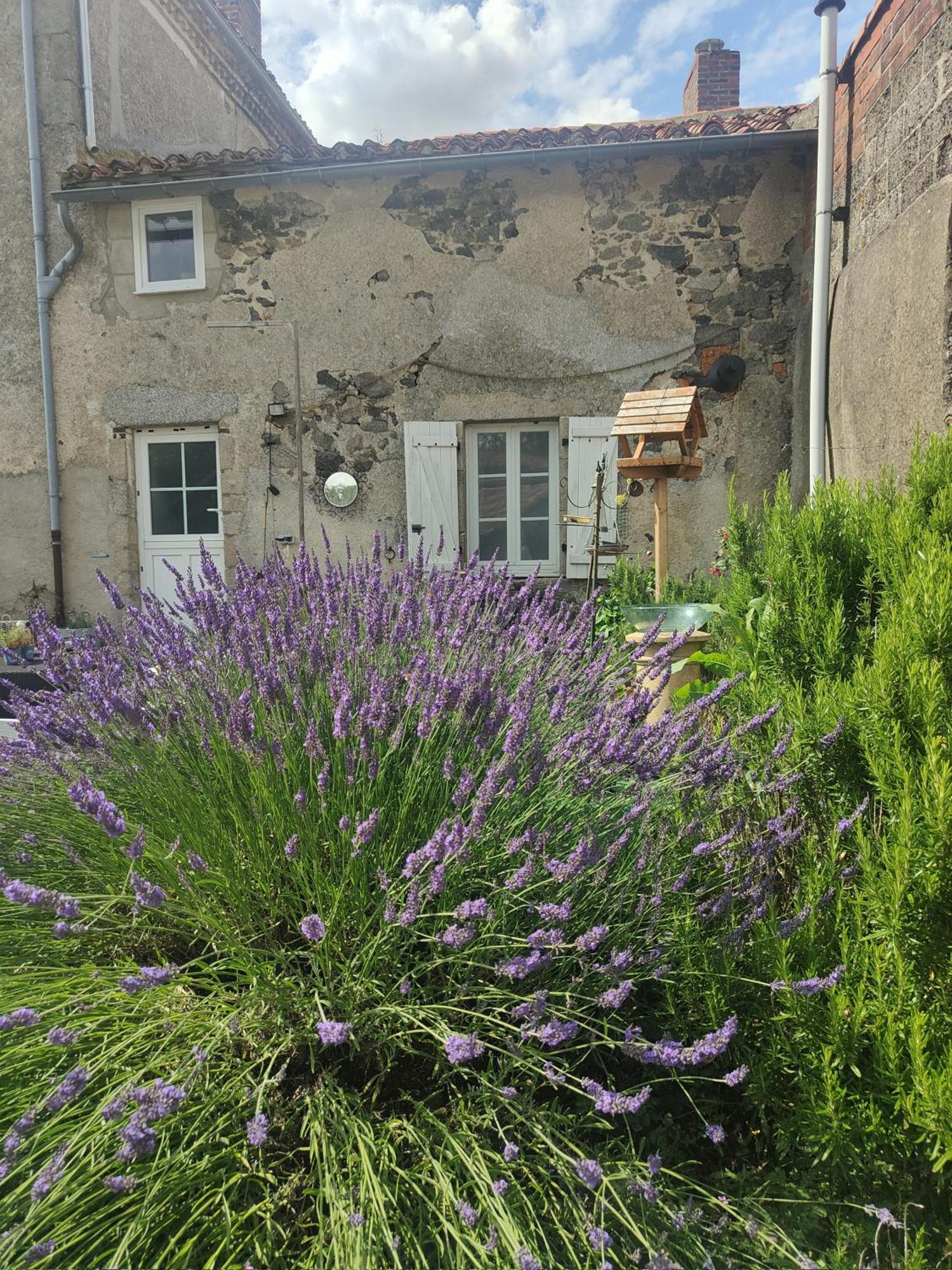 مبيت وإفطار Chanteloup  Wisteria House المظهر الخارجي الصورة