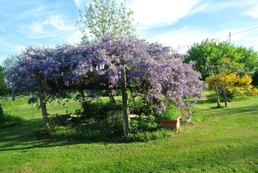 مبيت وإفطار Chanteloup  Wisteria House المظهر الخارجي الصورة